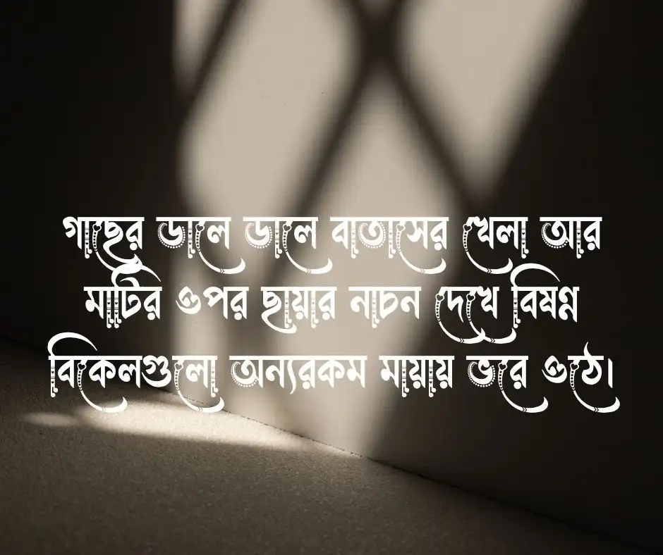 ছায়া নিয়ে ক্যাপশন