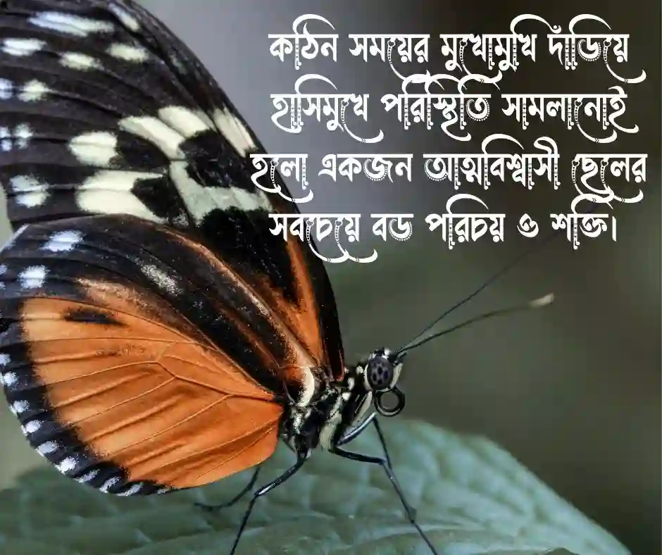 ছেলেদের নিয়ে ফেসবুক স্ট্যাটাস