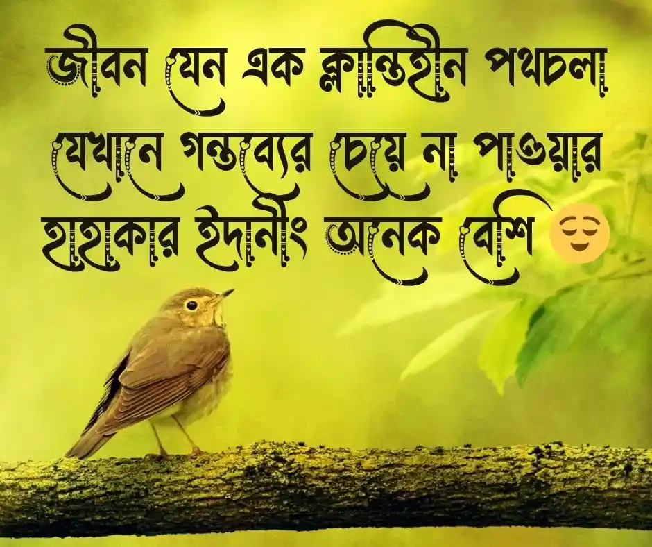 জীবনে হতাশা নিয়ে উক্তি