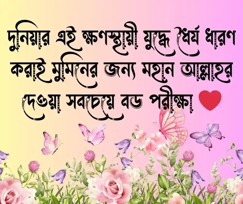 জীবন যুদ্ধ নিয়ে ইসলামিক উক্তি