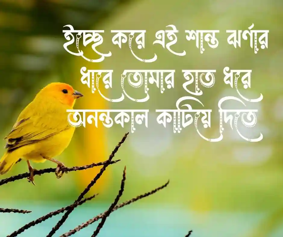 ঝর্ণা নিয়ে রোমান্টিক ক্যাপশন