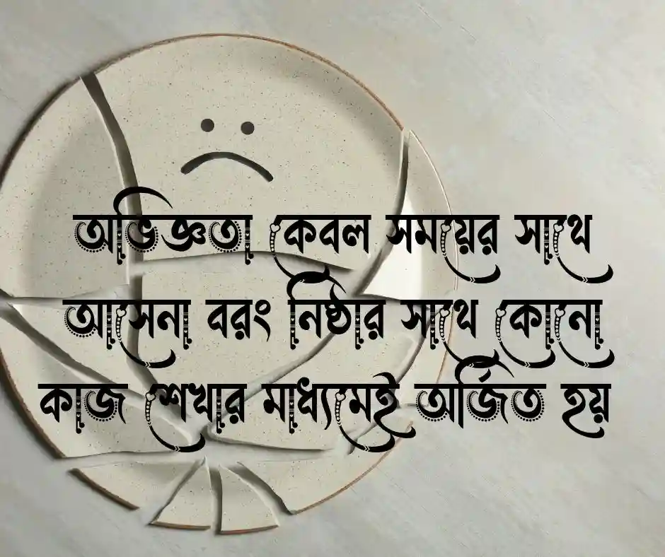 দক্ষতা নিয়ে উক্তি