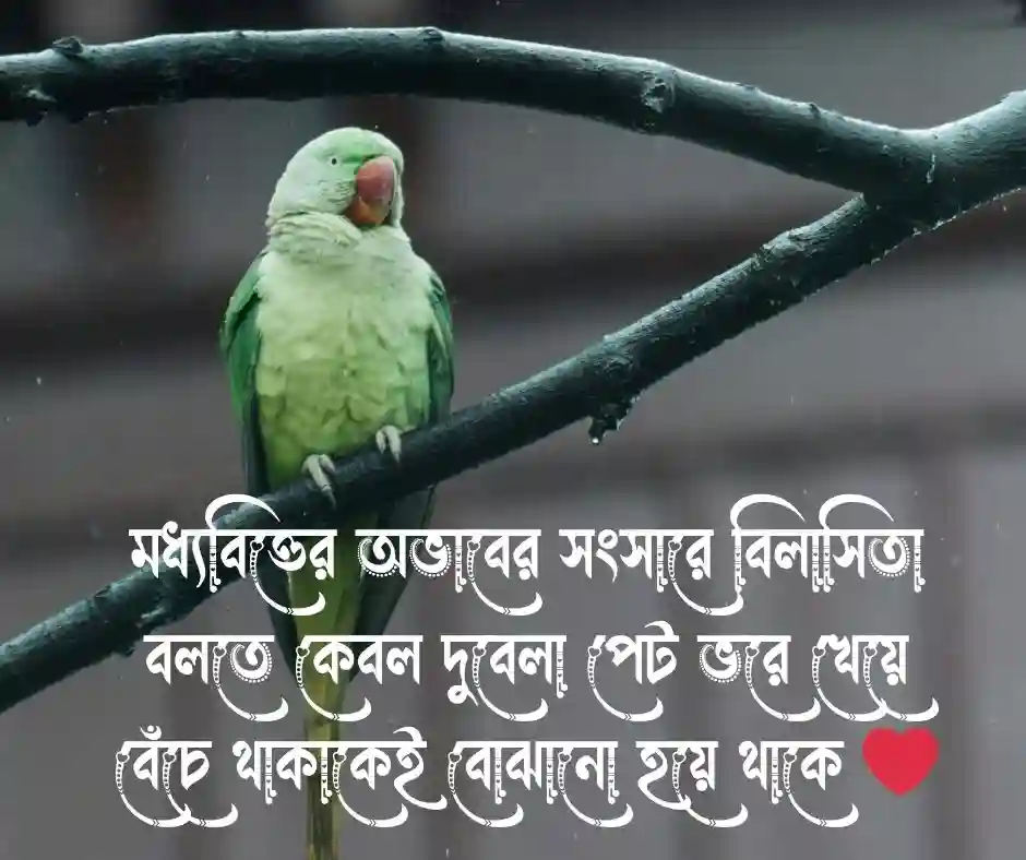 দারিদ্রতা নিয়ে উক্তি
