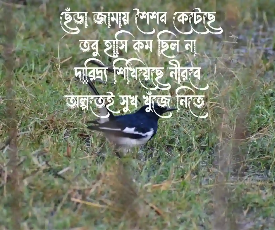 দারিদ্রতা নিয়ে কবিতা