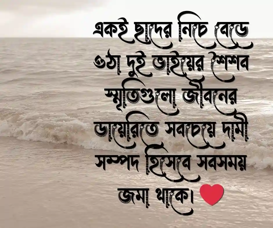 দুই ভাই নিয়ে স্ট্যাটাস