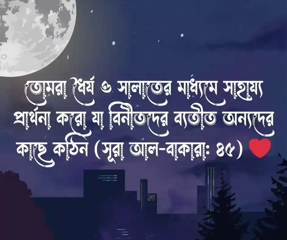 ধৈর্য নিয়ে উক্তি আল্লাহর বাণী ধৈর্য নিয়ে আল্লাহর বাণী