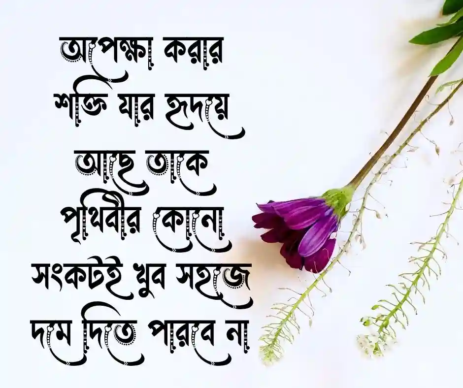 ধৈর্য নিয়ে স্ট্যাটাস ধৈর্য্য নিয়ে স্ট্যাটাস