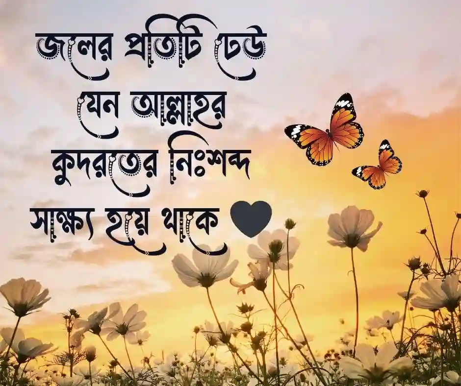 নদী নিয়ে ইসলামিক ক্যাপশন