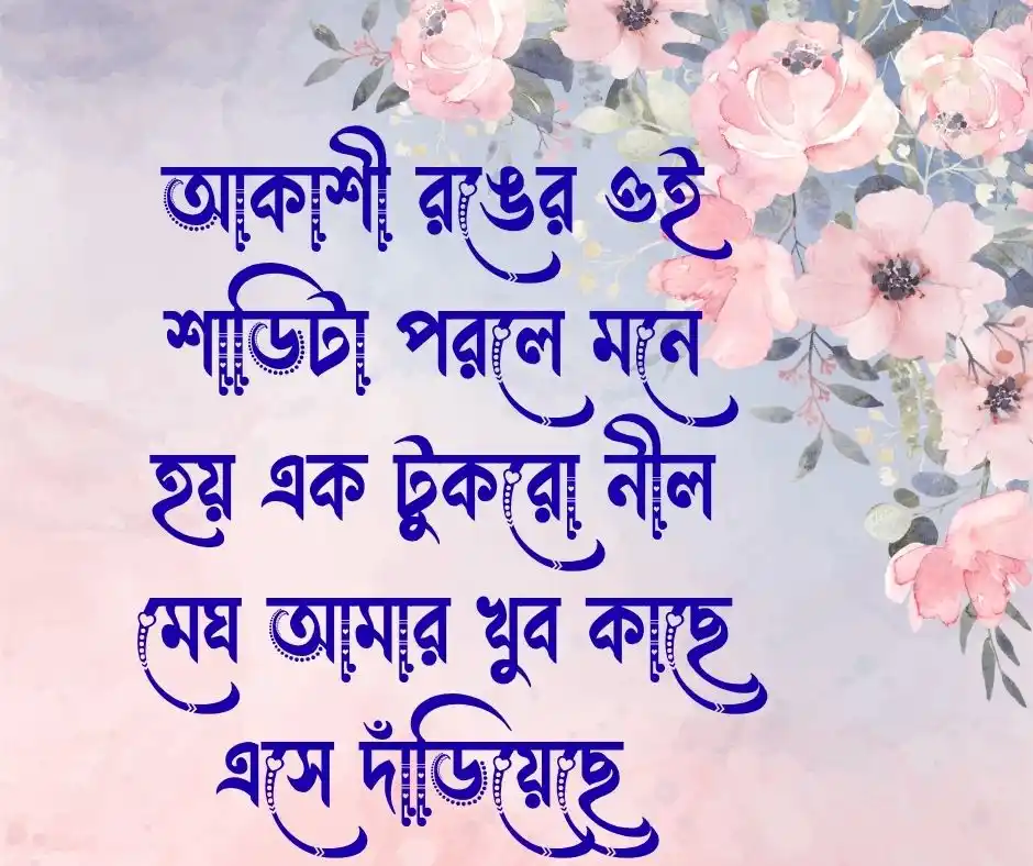 নীল শাড়ি নিয়ে ক্যাপশন