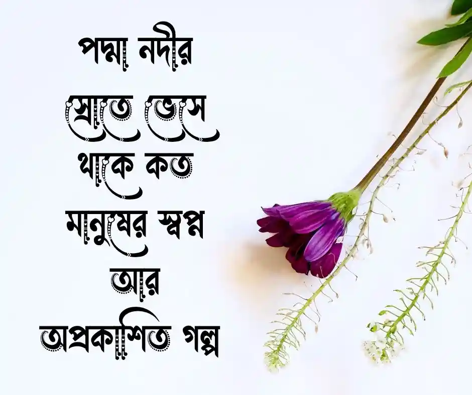 পদ্মা নদী নিয়ে ক্যাপশন