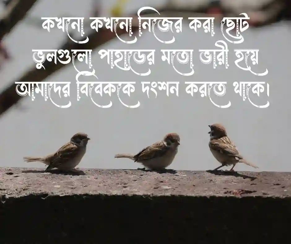 পাপ নিয়ে উক্তি