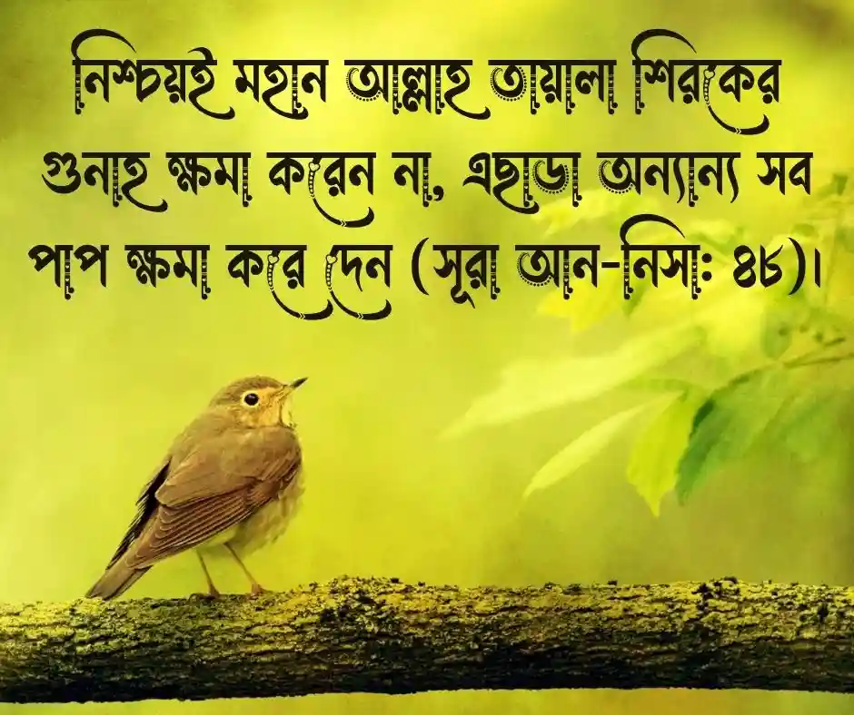 পাপ নিয়ে কোরআনের আয়াত