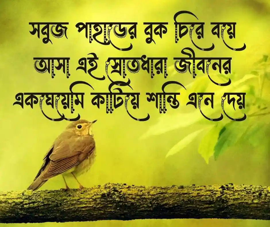 পাহাড় ও ঝর্ণা নিয়ে ক্যাপশন
