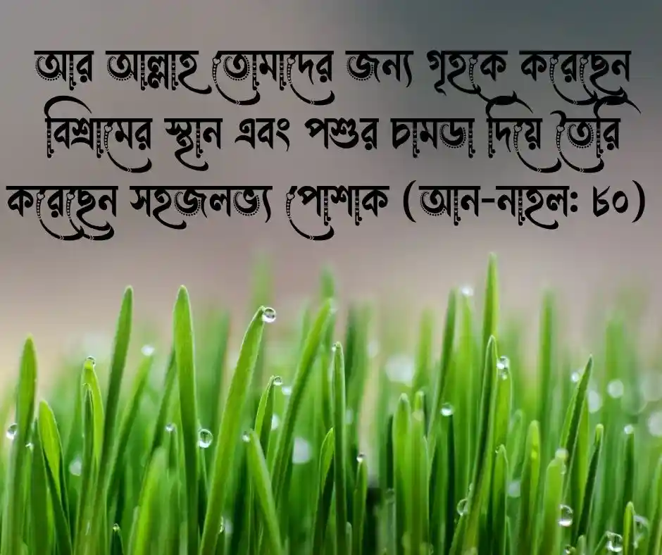 পোশাক নিয়ে কোরআনের আয়াত