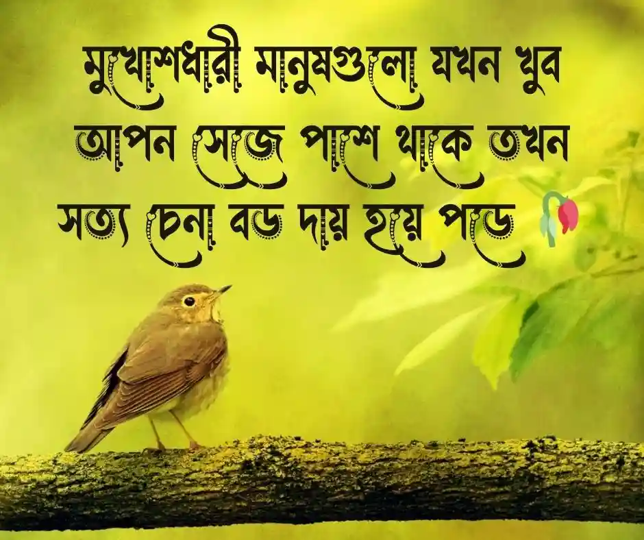 প্রতারনা নিয়ে স্ট্যাটাস