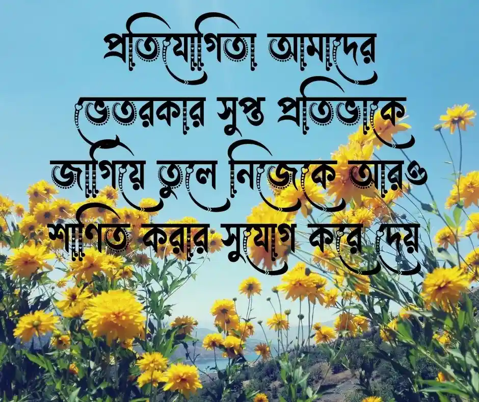 প্রতিযোগীতা নিয়ে উক্তি