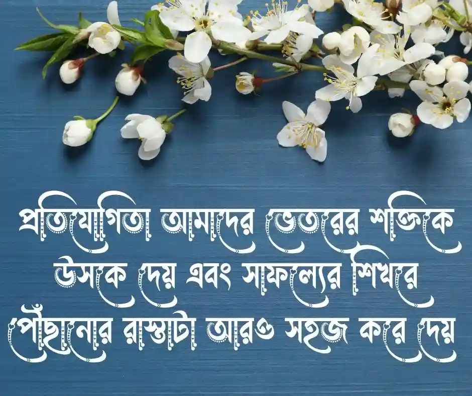 প্রতিযোগীতা নিয়ে স্ট্যাটাস