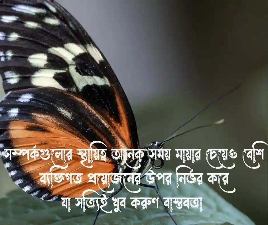 প্রয়োজন নিয়ে ক্যাপশন