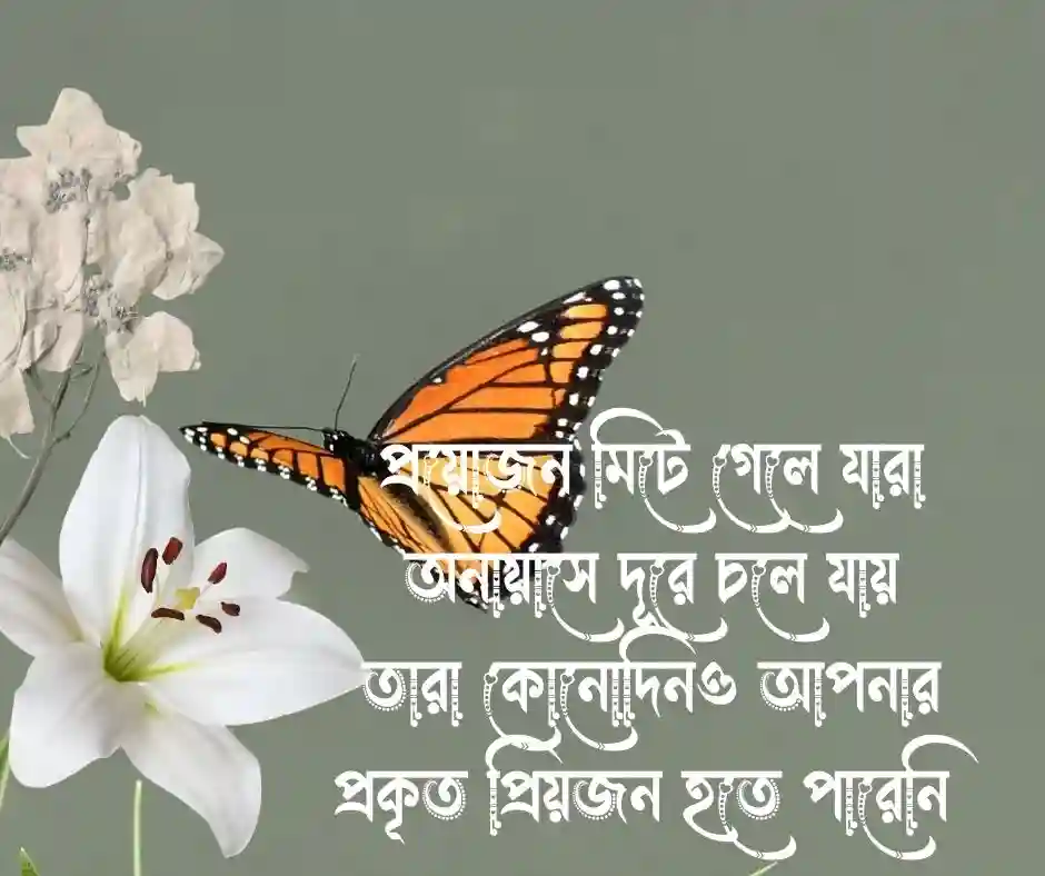 প্রিয়জন আর প্রয়োজন নিয়ে উক্তি (1)