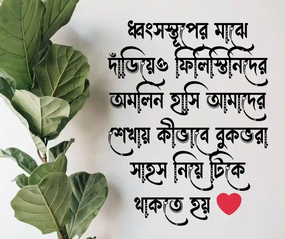 ফিলিস্তিন যুদ্ধ নিয়ে উক্তি