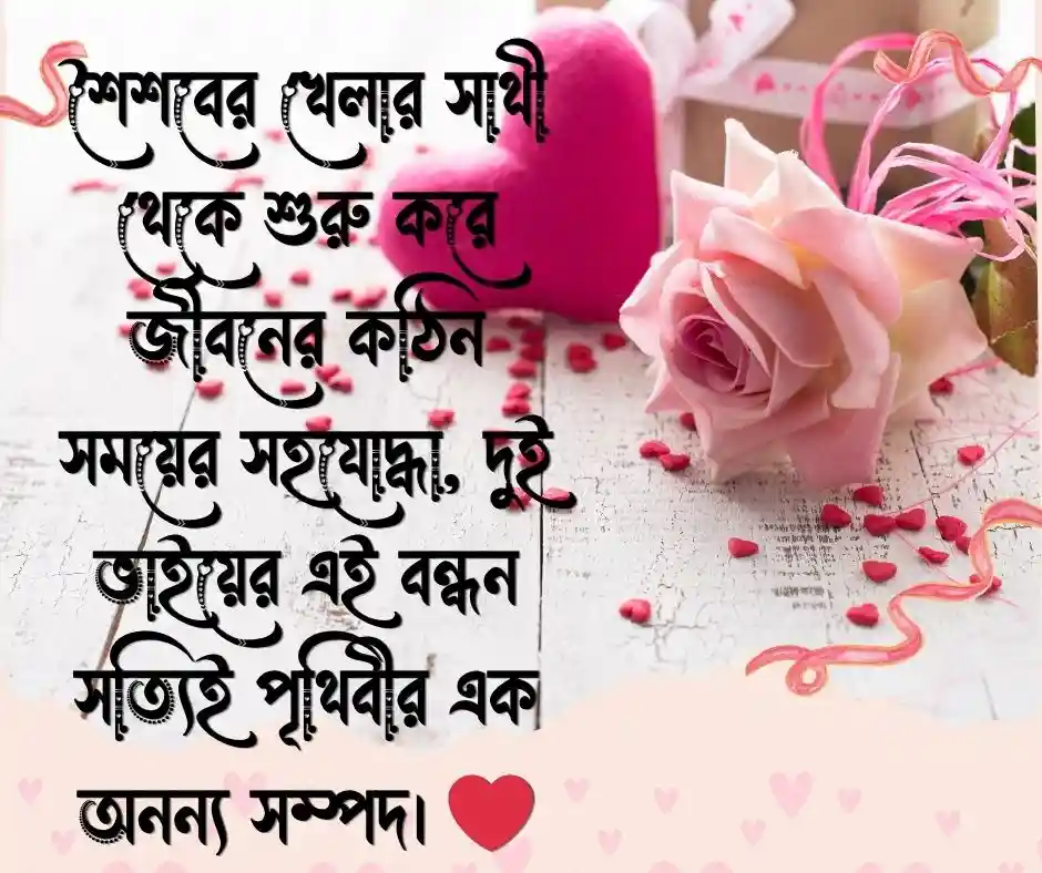 বড় ভাই ছোট ভাই নিয়ে স্ট্যাটাস