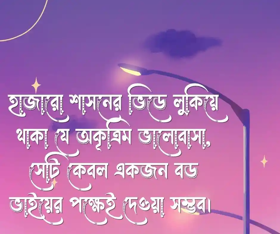 বড় ভাই নিয়ে ক্যাপশন