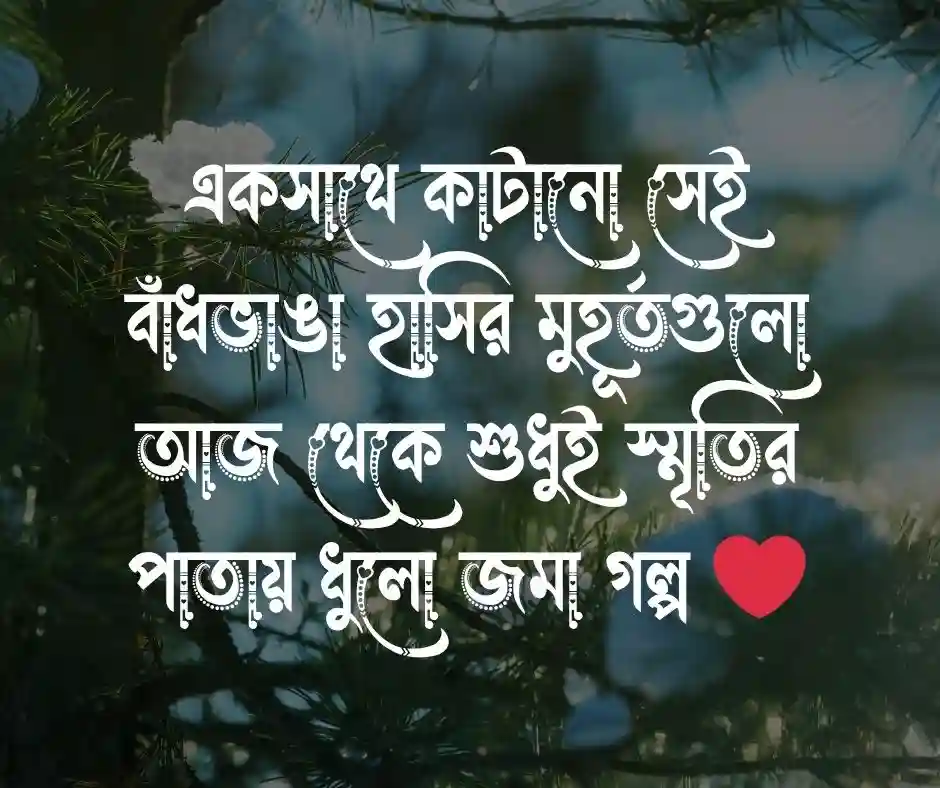 বন্ধু বিদায় নিয়ে স্ট্যাটাস