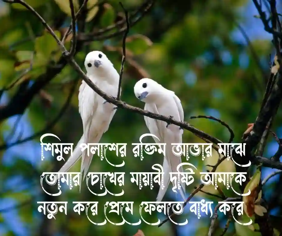 বসন্তের রোমান্টিক স্ট্যাটাস