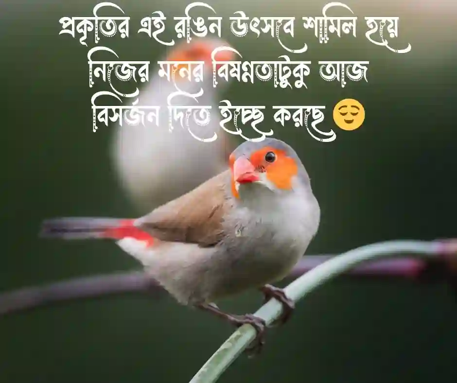 বসন্ত নিয়ে ক্যাপশন (1)
