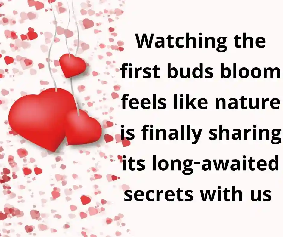 বসন্ত নিয়ে ক্যাপশন English