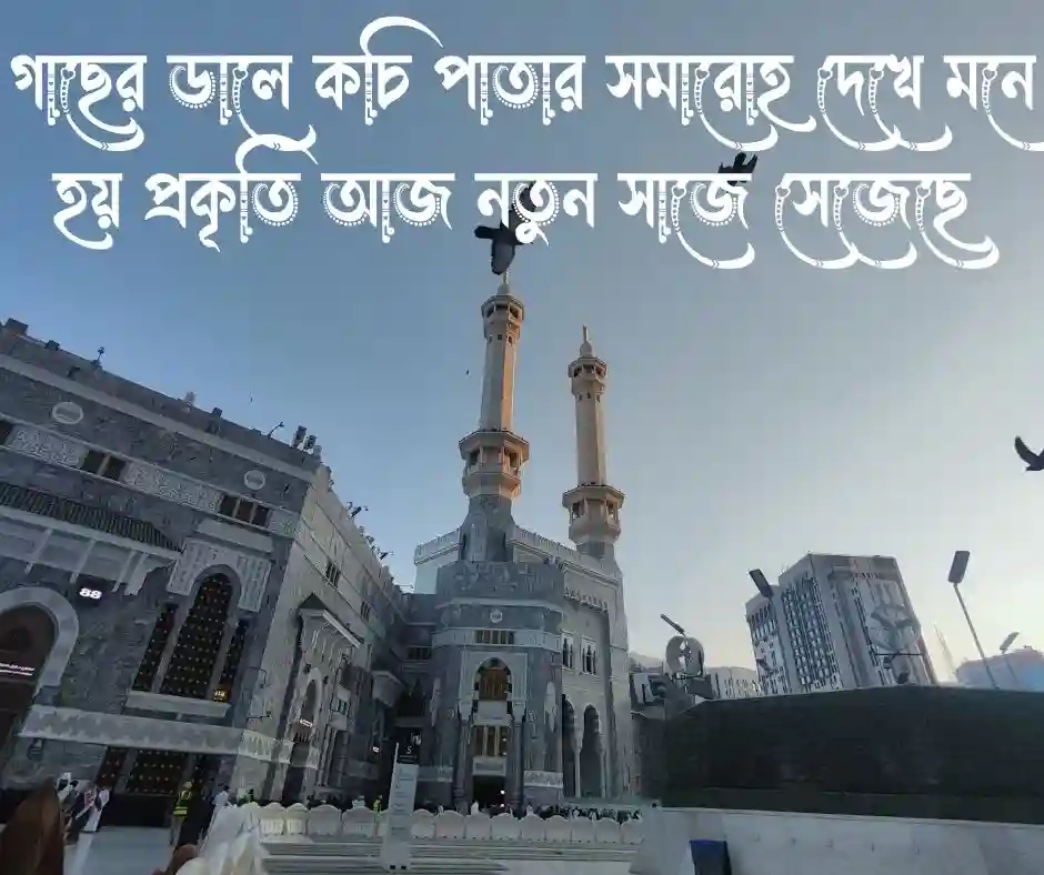 বসন্ত নিয়ে ক্যাপশন