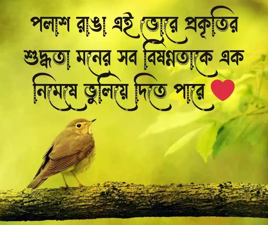 বসন্ত নিয়ে ছোট ক্যাপশন - বসন্ত নিয়ে ছোট ক্যাপশন