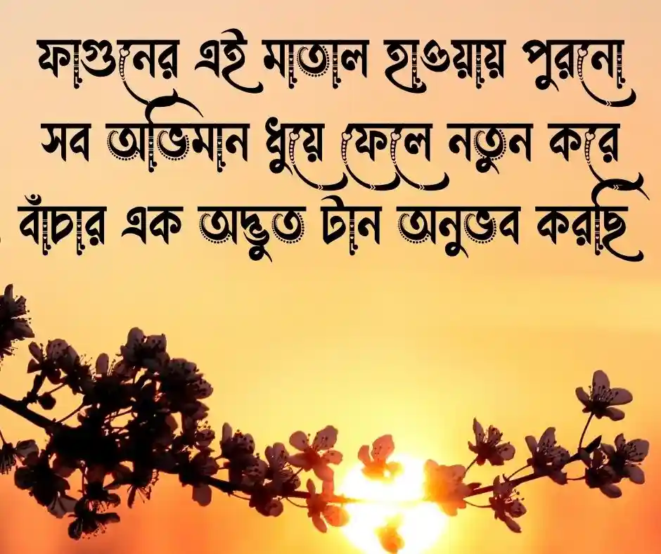 বসন্ত নিয়ে ফেসবুক স্ট্যাটাস