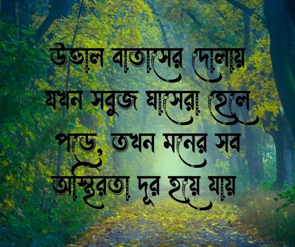 বাতাস নিয়ে উক্তি