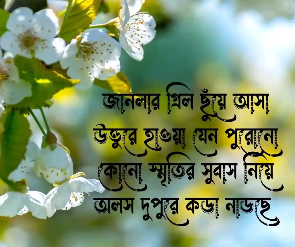 বাতাস নিয়ে ক্যাপশন বাতাস নিয়ে স্ট্যাটাস