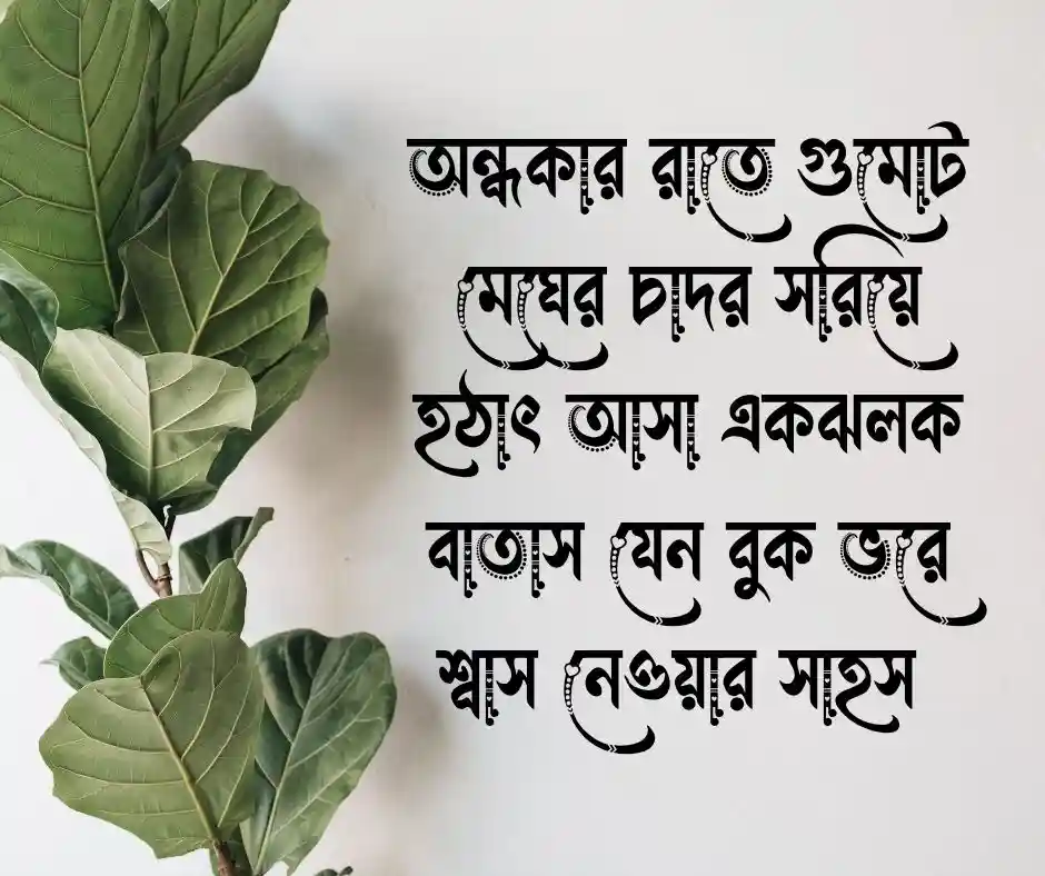 বাতাস নিয়ে ক্যাপশন বাতাস নিয়ে স্ট্যাটাস
