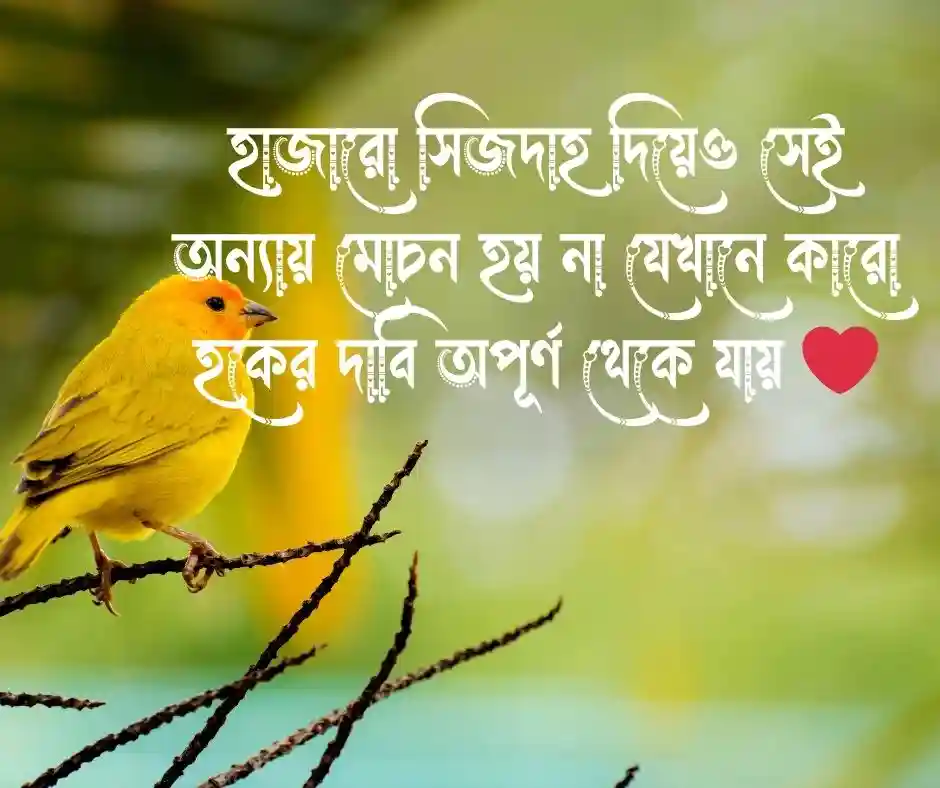 বান্দার হক নিয়ে ইসলামিক স্ট্যাটাস