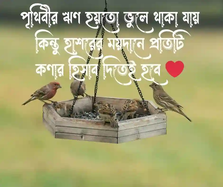 বান্দার হক নিয়ে স্ট্যাটাস