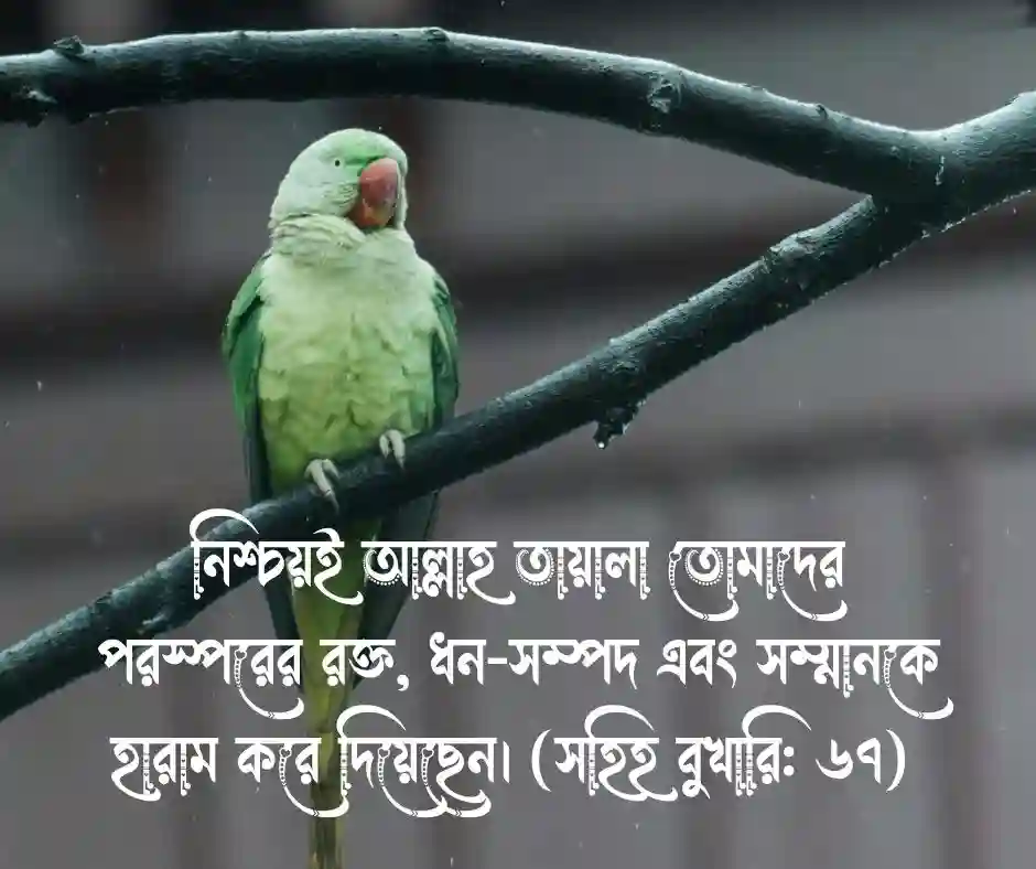 বান্দার হক নিয়ে হাদিস