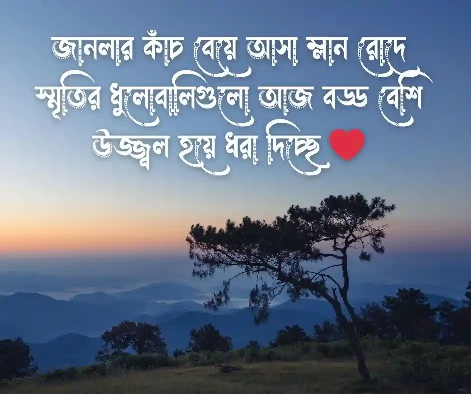 বিকেলের রোদ নিয়ে ক্যাপশন