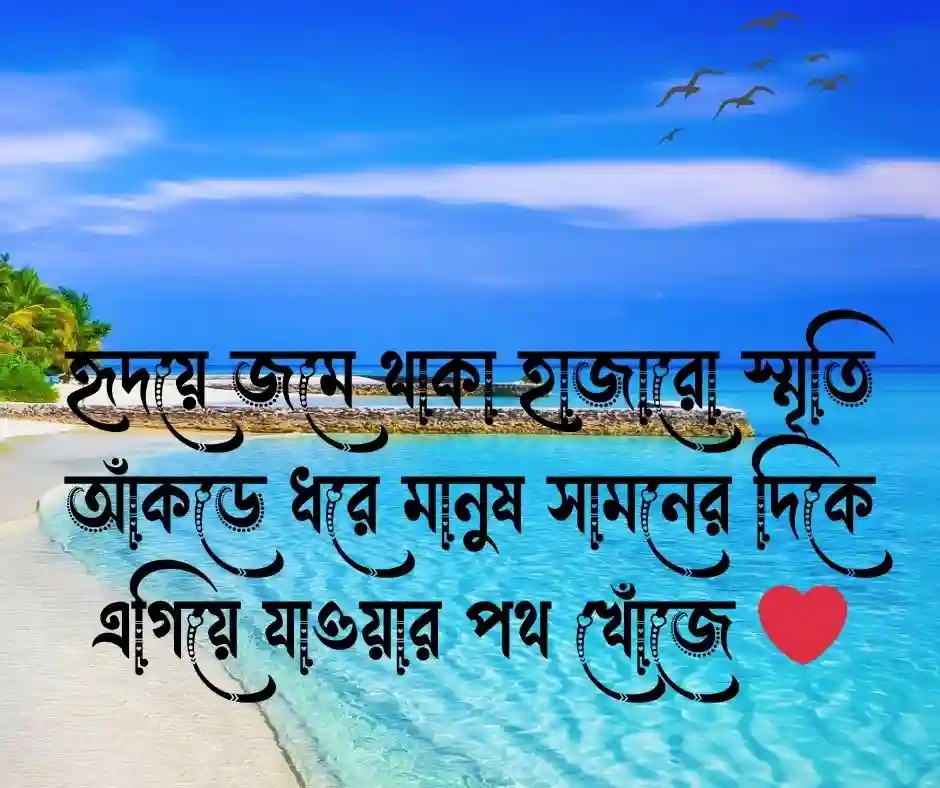 বিদায় নিয়ে উক্তি
