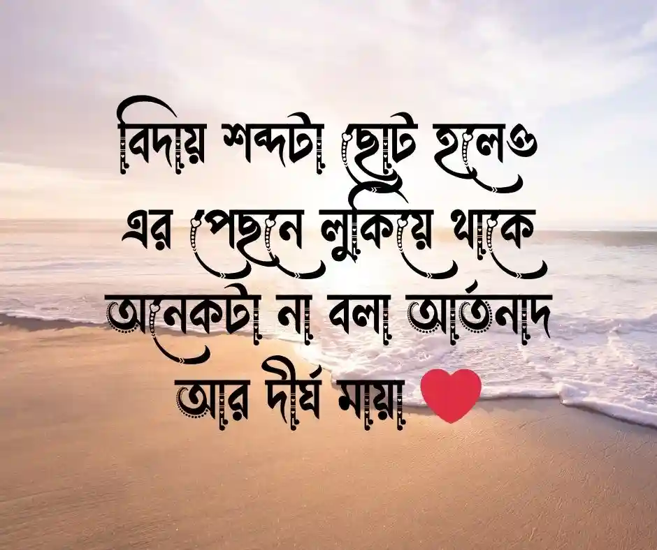 বিদায় নিয়ে উক্তি