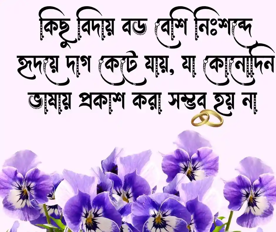 বিদায় নিয়ে ক্যাপশন