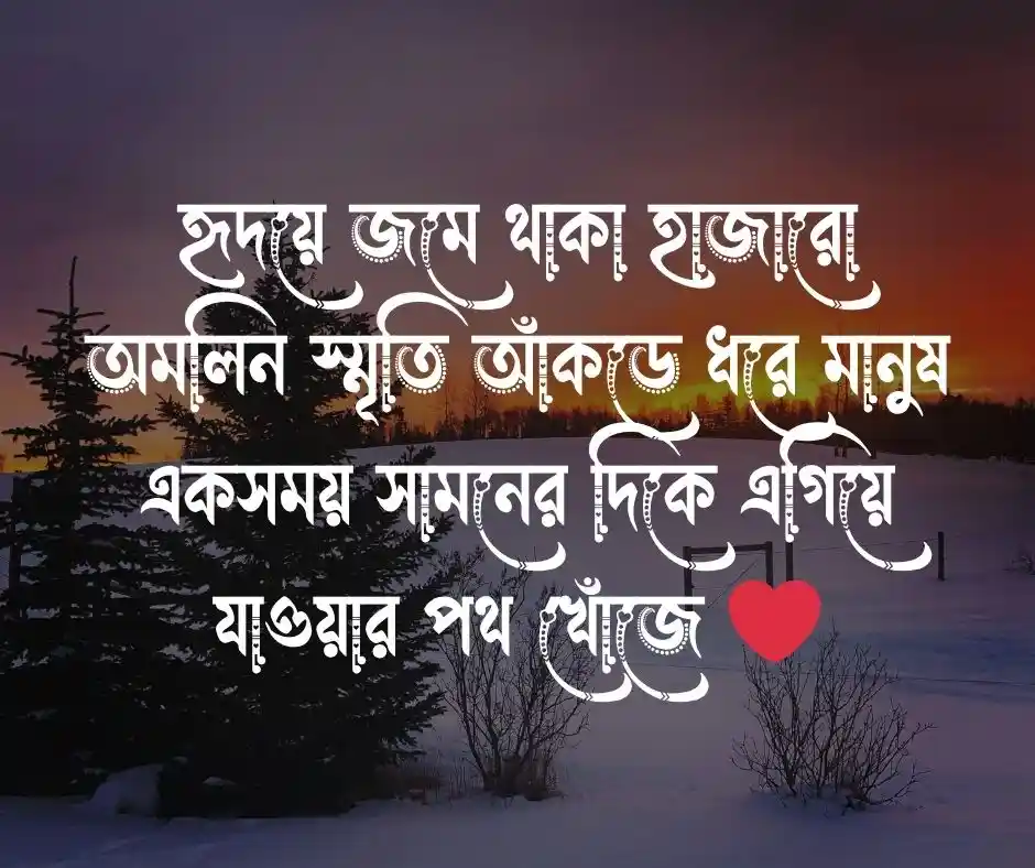 বিদায় নিয়ে ফেসবুক স্ট্যাটাস