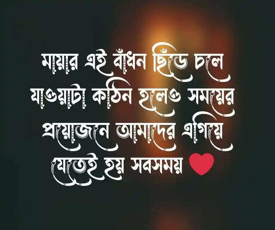 বিদায় নিয়ে স্ট্যাটাস