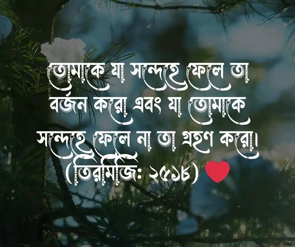 বিবেক নিয়ে হাদিস
