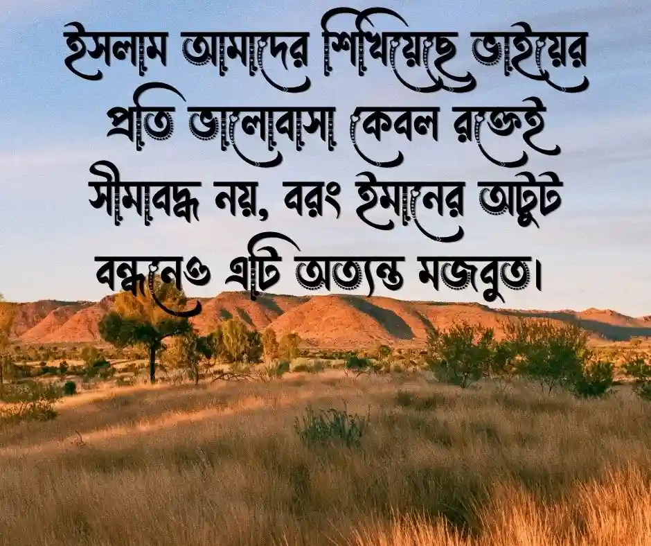 ভাই নিয়ে ক্যাপশন ইসলামিক