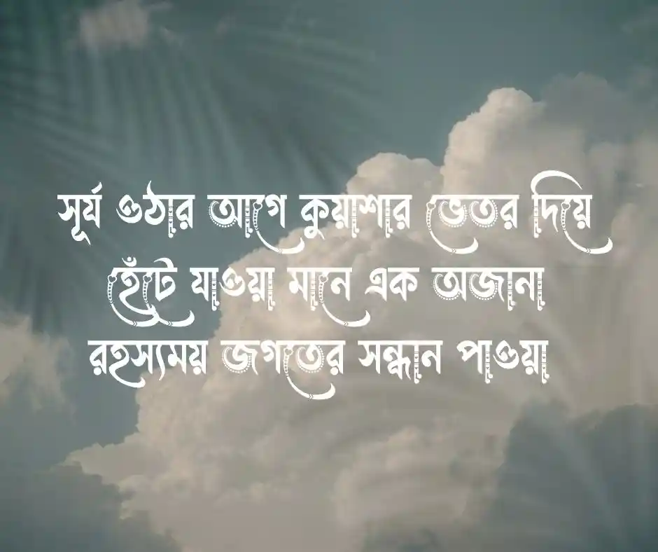 ভোরের কুয়াশা নিয়ে ক্যাপশন