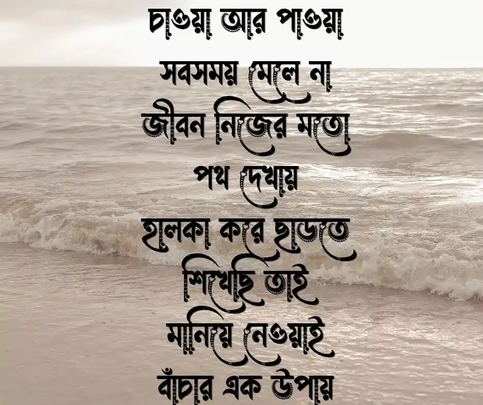 মানিয়ে নেওয়া নিয়ে কবিতা