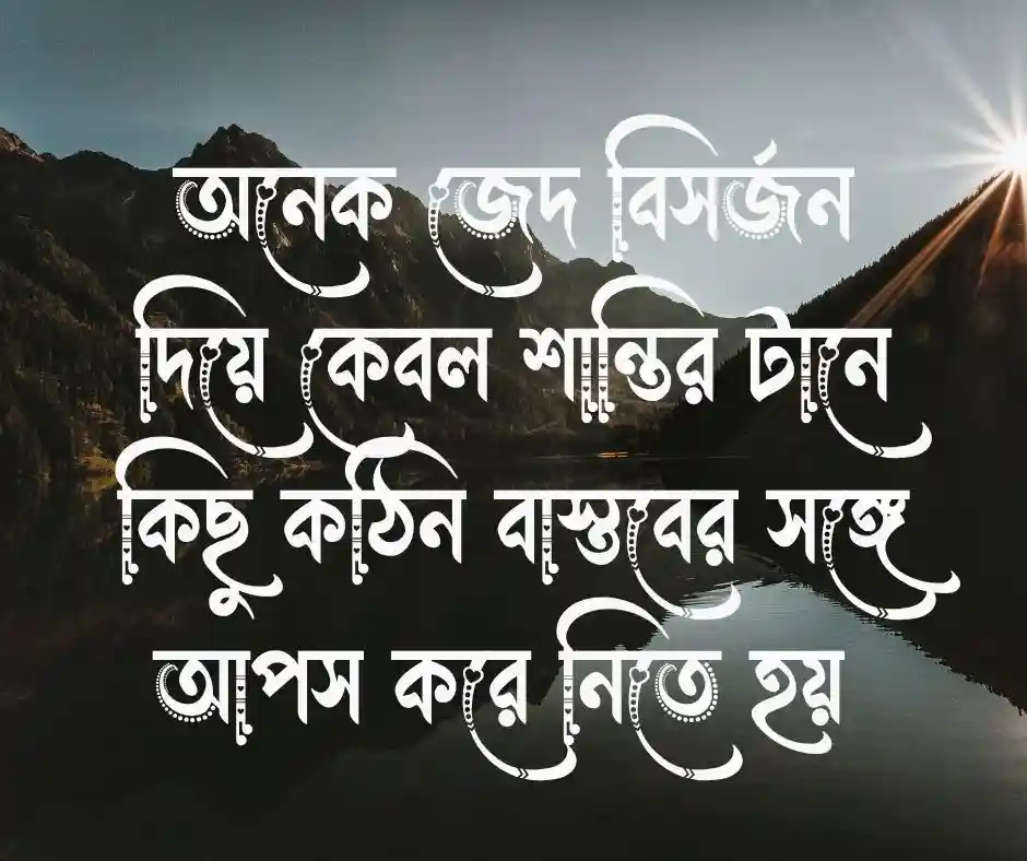 মানিয়ে নেওয়া নিয়ে ক্যাপশন
